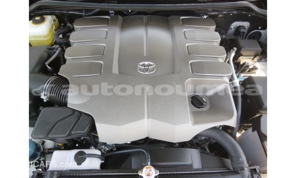 Buy Import Toyota Land Cruiser White Car in Import - Dubai in Iles Buy Import Toyota Land Cruiser White Car in Import - Dubai in Iles