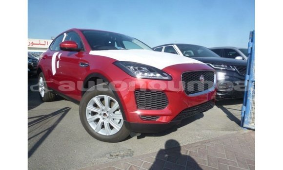 Buy Import Jaguar E-Pace Red Car in Import - Dubai in Iles