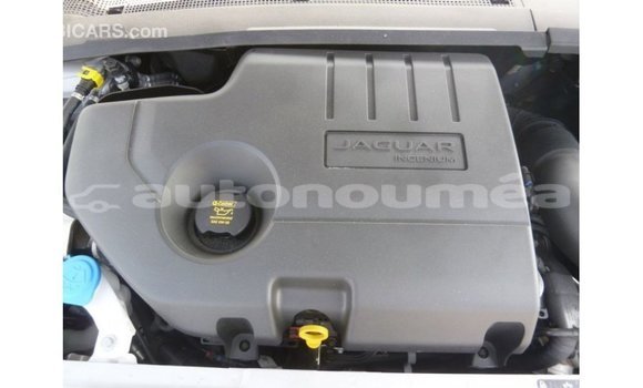 Acheter Import Voiture Jaguar E-Pace Blanc à Import - Dubai, Iles Acheter Import Voiture Jaguar E-Pace Blanc à Import - Dubai, Iles