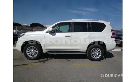 Acheter Import Voiture Toyota Prado Blanc à Import - Dubai, Iles Acheter Import Voiture Toyota Prado Blanc à Import - Dubai, Iles