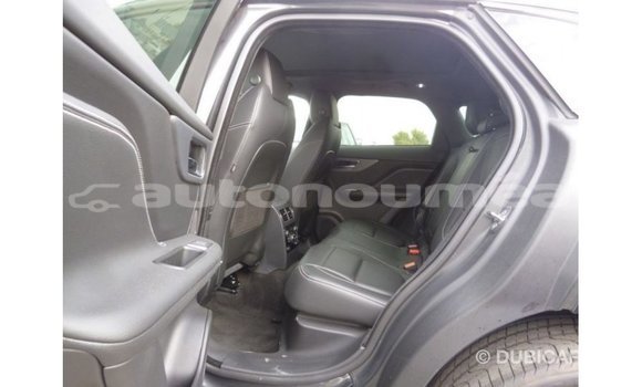 Acheter Import Voiture Jaguar F-Type Noir à Import - Dubai, Iles Acheter Import Voiture Jaguar F-Type Noir à Import - Dubai, Iles