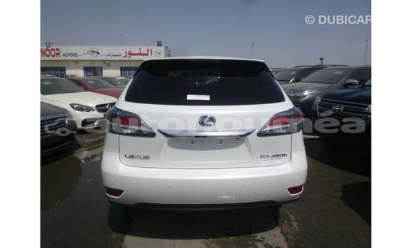 Acheter Import Voiture Lexus RX Blanc à Import - Dubai, Iles Acheter Import Voiture Lexus RX Blanc à Import - Dubai, Iles