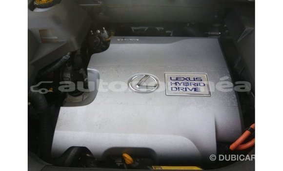 Acheter Import Voiture Lexus RX Blanc à Import - Dubai, Iles Acheter Import Voiture Lexus RX Blanc à Import - Dubai, Iles