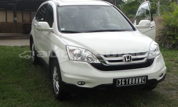 Acheter Occasion Voiture Honda CR–V Beige à Pouembout, Nord