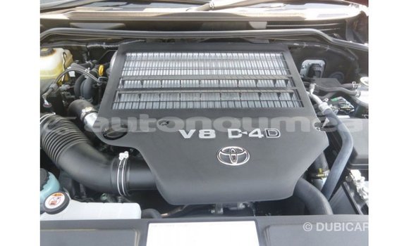 Buy Import Toyota Land Cruiser Red Car in Import - Dubai in Iles Buy Import Toyota Land Cruiser Red Car in Import - Dubai in Iles