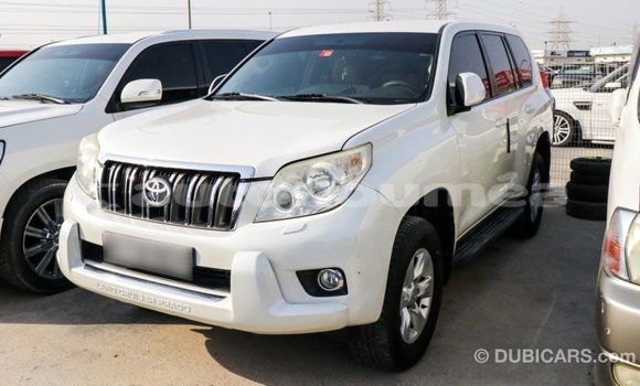 Acheter Import Voiture Toyota Prado Blanc à Import - Dubai, Iles Acheter Import Voiture Toyota Prado Blanc à Import - Dubai, Iles