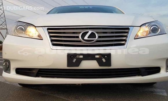 Acheter Import Voiture Lexus ES Blanc à Import - Dubai, Iles Acheter Import Voiture Lexus ES Blanc à Import - Dubai, Iles