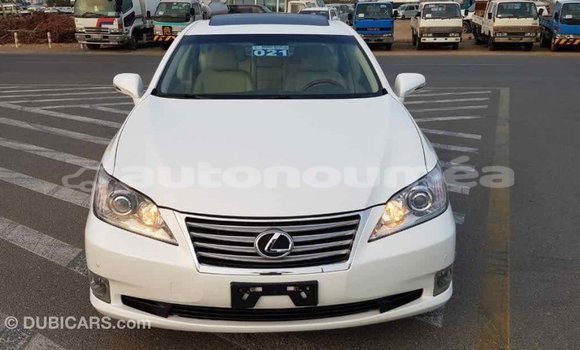 Acheter Import Voiture Lexus ES Blanc à Import - Dubai, Iles Acheter Import Voiture Lexus ES Blanc à Import - Dubai, Iles