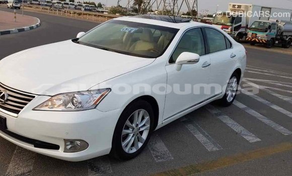 Acheter Import Voiture Lexus ES Blanc à Import - Dubai, Iles Acheter Import Voiture Lexus ES Blanc à Import - Dubai, Iles