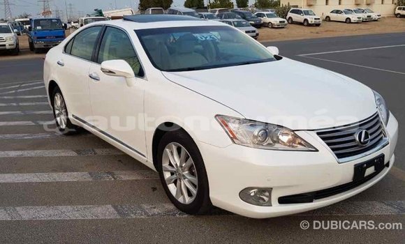 Acheter Import Voiture Lexus ES Blanc à Import - Dubai, Iles Acheter Import Voiture Lexus ES Blanc à Import - Dubai, Iles