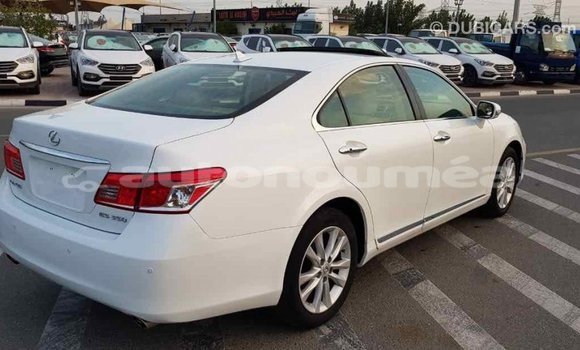 Acheter Import Voiture Lexus ES Blanc à Import - Dubai, Iles Acheter Import Voiture Lexus ES Blanc à Import - Dubai, Iles