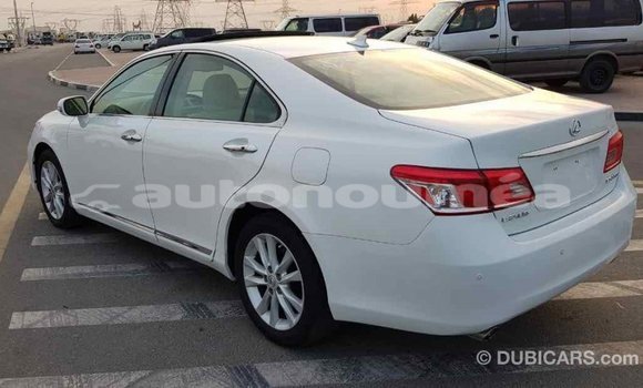 Acheter Import Voiture Lexus ES Blanc à Import - Dubai, Iles Acheter Import Voiture Lexus ES Blanc à Import - Dubai, Iles