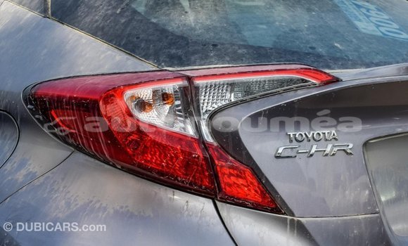 Acheter Import Voiture Toyota C-HR Autre à Import - Dubai, Iles Acheter Import Voiture Toyota C-HR Autre à Import - Dubai, Iles