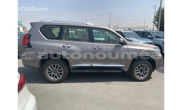 Buy Import Toyota Prado Brown Car in Import - Dubai in Iles Buy Import Toyota Prado Brown Car in Import - Dubai in Iles