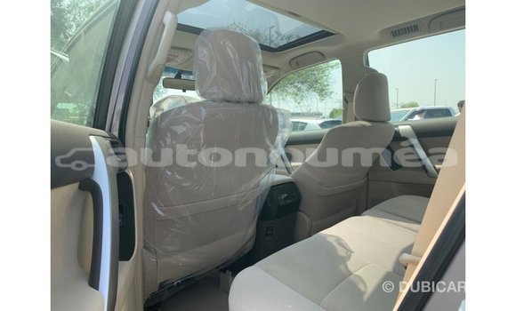 Buy Import Toyota Prado Brown Car in Import - Dubai in Iles Buy Import Toyota Prado Brown Car in Import - Dubai in Iles
