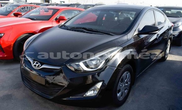 Acheter Import Voiture Hyundai Elantra Noir à Import - Dubai, Iles Acheter Import Voiture Hyundai Elantra Noir à Import - Dubai, Iles