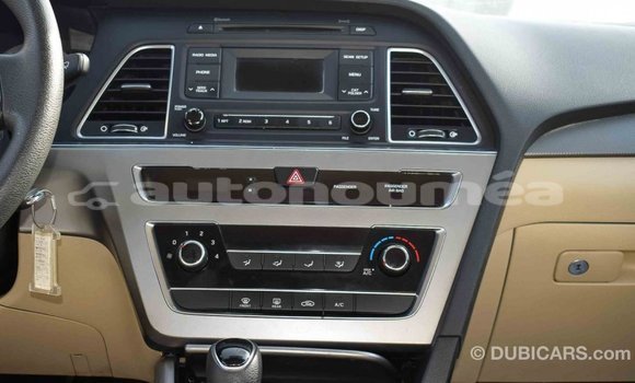 Acheter Import Voiture Hyundai Sonata Marron à Import - Dubai, Iles Acheter Import Voiture Hyundai Sonata Marron à Import - Dubai, Iles