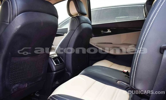 Buy Import Kia Sorento Brown Car in Import - Dubai in Iles Buy Import Kia Sorento Brown Car in Import - Dubai in Iles