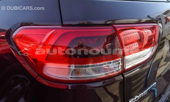 Buy Import Kia Sorento Brown Car in Import - Dubai in Iles Buy Import Kia Sorento Brown Car in Import - Dubai in Iles