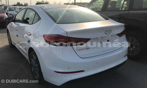 Acheter Import Voiture Hyundai Elantra Blanc à Import - Dubai, Iles Acheter Import Voiture Hyundai Elantra Blanc à Import - Dubai, Iles