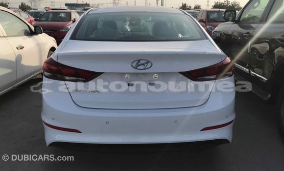 Acheter Import Voiture Hyundai Elantra Blanc à Import - Dubai, Iles Acheter Import Voiture Hyundai Elantra Blanc à Import - Dubai, Iles