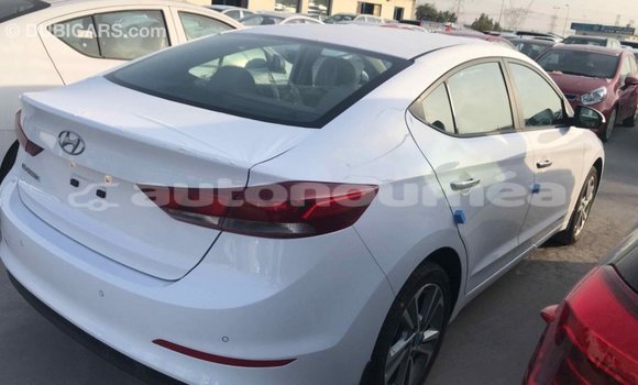 Acheter Import Voiture Hyundai Elantra Blanc à Import - Dubai, Iles Acheter Import Voiture Hyundai Elantra Blanc à Import - Dubai, Iles