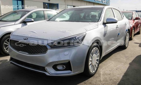 Acheter Import Voiture Kia Cadenza Autre à Import - Dubai, Iles Acheter Import Voiture Kia Cadenza Autre à Import - Dubai, Iles