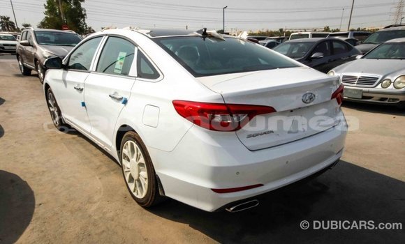 Acheter Import Voiture Hyundai Sonata Blanc à Import - Dubai, Iles Acheter Import Voiture Hyundai Sonata Blanc à Import - Dubai, Iles