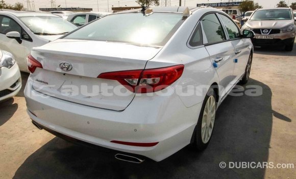 Acheter Import Voiture Hyundai Sonata Blanc à Import - Dubai, Iles Acheter Import Voiture Hyundai Sonata Blanc à Import - Dubai, Iles