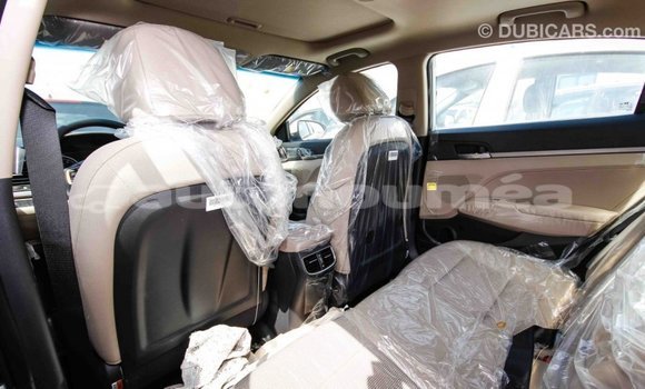 Acheter Import Voiture Hyundai Elantra Blanc à Import - Dubai, Iles Acheter Import Voiture Hyundai Elantra Blanc à Import - Dubai, Iles