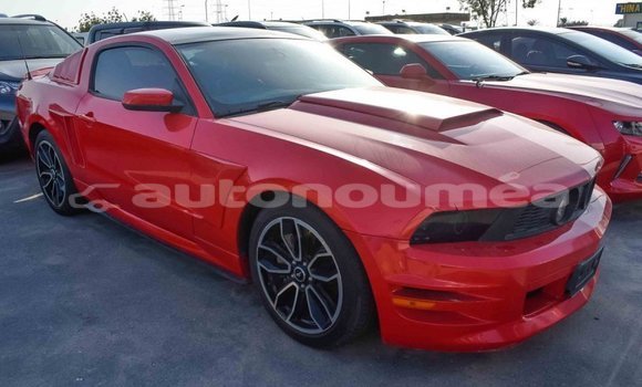 Acheter Import Voiture Ford Mustang Rouge à Import - Dubai, Iles Acheter Import Voiture Ford Mustang Rouge à Import - Dubai, Iles