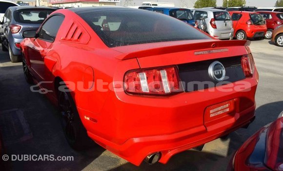 Acheter Import Voiture Ford Mustang Rouge à Import - Dubai, Iles Acheter Import Voiture Ford Mustang Rouge à Import - Dubai, Iles