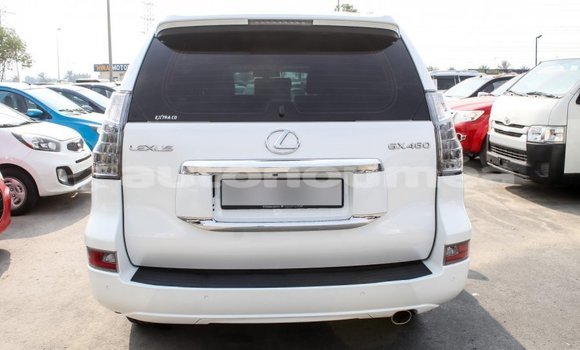 Acheter Import Voiture Lexus GX Blanc à Import - Dubai, Iles Acheter Import Voiture Lexus GX Blanc à Import - Dubai, Iles