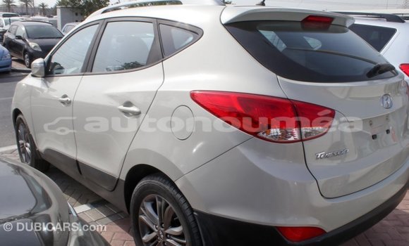 Acheter Import Voiture Hyundai Tucson Beige à Import - Dubai, Iles Acheter Import Voiture Hyundai Tucson Beige à Import - Dubai, Iles