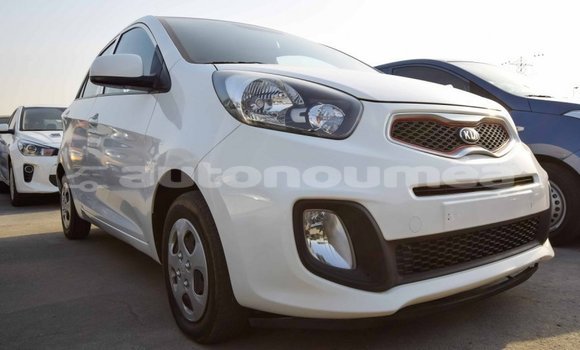 Buy Import Kia Picanto White Car in Import - Dubai in Iles Buy Import Kia Picanto White Car in Import - Dubai in Iles