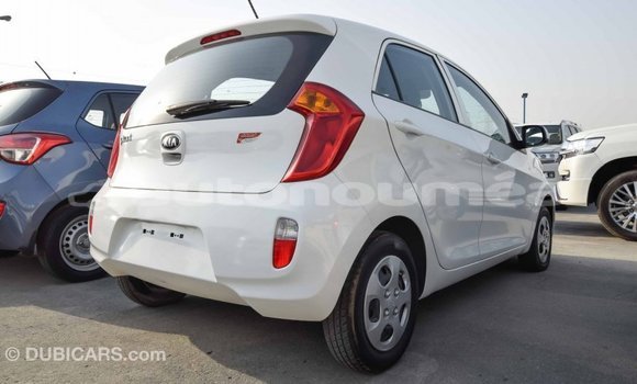 Buy Import Kia Picanto White Car in Import - Dubai in Iles Buy Import Kia Picanto White Car in Import - Dubai in Iles