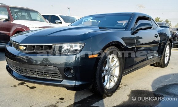 Buy Import Chevrolet Camaro Other Car in Import - Dubai in Iles Buy Import Chevrolet Camaro Other Car in Import - Dubai in Iles