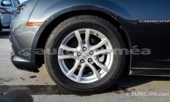 Buy Import Chevrolet Camaro Other Car in Import - Dubai in Iles Buy Import Chevrolet Camaro Other Car in Import - Dubai in Iles