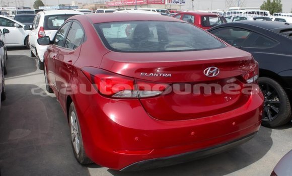 Acheter Import Voiture Hyundai Elantra Rouge à Import - Dubai, Iles Acheter Import Voiture Hyundai Elantra Rouge à Import - Dubai, Iles
