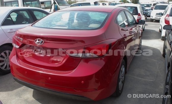 Acheter Import Voiture Hyundai Elantra Rouge à Import - Dubai, Iles Acheter Import Voiture Hyundai Elantra Rouge à Import - Dubai, Iles