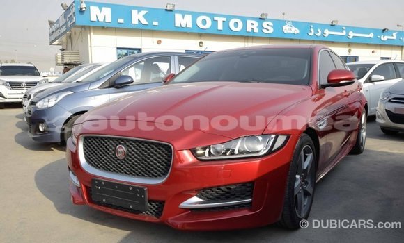 Acheter Import Voiture Jaguar XE Rouge à Import - Dubai, Iles Acheter Import Voiture Jaguar XE Rouge à Import - Dubai, Iles