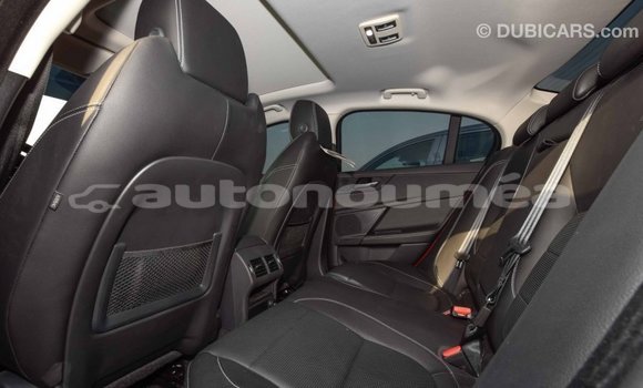 Acheter Import Voiture Jaguar XE Rouge à Import - Dubai, Iles Acheter Import Voiture Jaguar XE Rouge à Import - Dubai, Iles
