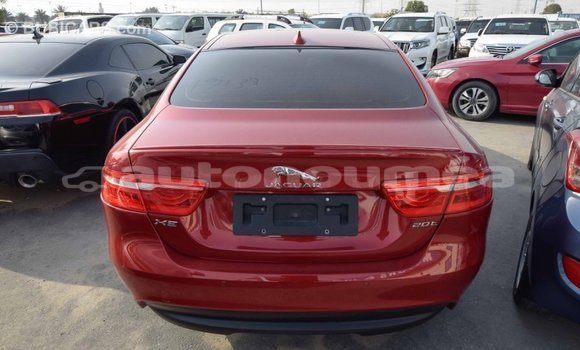 Acheter Import Voiture Jaguar XE Rouge à Import - Dubai, Iles Acheter Import Voiture Jaguar XE Rouge à Import - Dubai, Iles