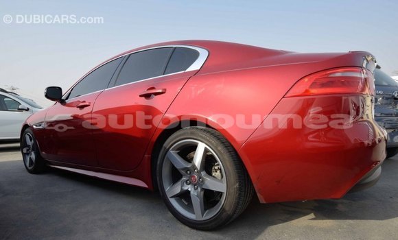 Acheter Import Voiture Jaguar XE Rouge à Import - Dubai, Iles Acheter Import Voiture Jaguar XE Rouge à Import - Dubai, Iles