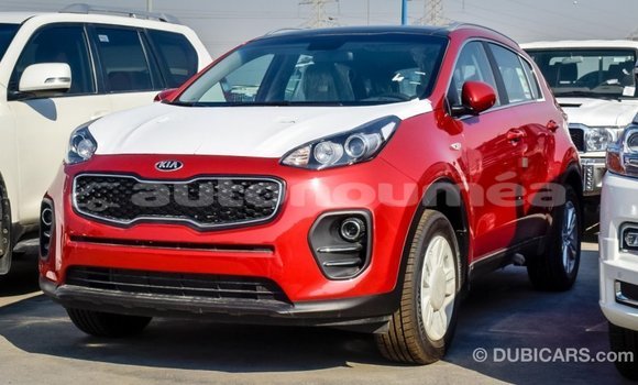 Buy Import Kia Sportage Red Car in Import - Dubai in Iles Buy Import Kia Sportage Red Car in Import - Dubai in Iles