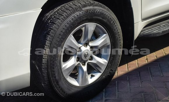 Acheter Import Voiture Toyota Prado Blanc à Import - Dubai, Iles Acheter Import Voiture Toyota Prado Blanc à Import - Dubai, Iles