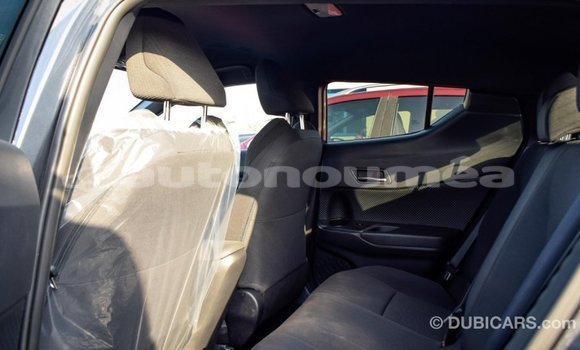 Acheter Import Voiture Toyota C-HR Autre à Import - Dubai, Iles Acheter Import Voiture Toyota C-HR Autre à Import - Dubai, Iles