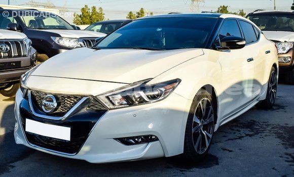 Buy Import Nissan Maxima White Car in Import - Dubai in Iles Buy Import Nissan Maxima White Car in Import - Dubai in Iles