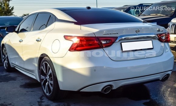Buy Import Nissan Maxima White Car in Import - Dubai in Iles Buy Import Nissan Maxima White Car in Import - Dubai in Iles