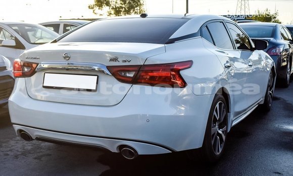 Buy Import Nissan Maxima White Car in Import - Dubai in Iles Buy Import Nissan Maxima White Car in Import - Dubai in Iles